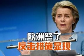 金年会登陆-欧洲战场主力