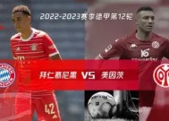 金年会下载-霍芬海姆主场战胜美因茨，全取三分的简单介绍