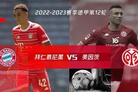 金年会下载-霍芬海姆主场战胜美因茨，全取三分的简单介绍