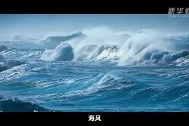 金年会入口-包含宁夏脱困梦：石嘴山队全力以赴，奋勇争先晋级的词条