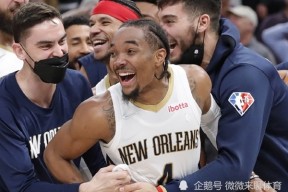 金年会入口-鹈鹕绝地反击马刺，霍乐迪神奇绝杀关键时刻的简单介绍