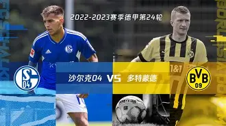 沙尔克成功反超对手稳住局势实现逆转的简单介绍